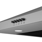 Wiggo WE-A530P(X) Wandschouw Afzuigkap - 50 cm - Roestvrijstaal